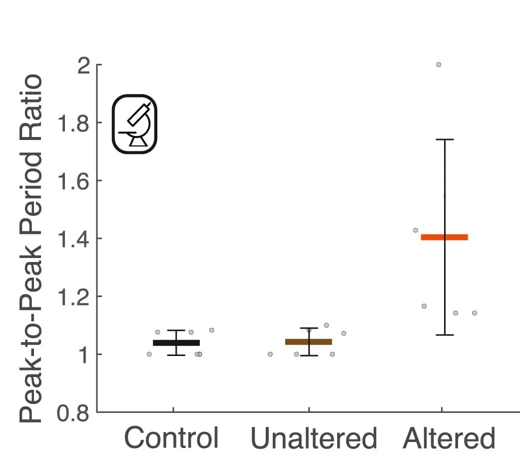 Open access visualization of Scatter Plot, Error Bars, Peak-to-Peak Ratio, Synchronization, Biological Samples