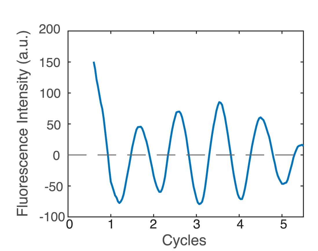 Open access visualization of Line Plot, Fluorescence Levels, Detrending