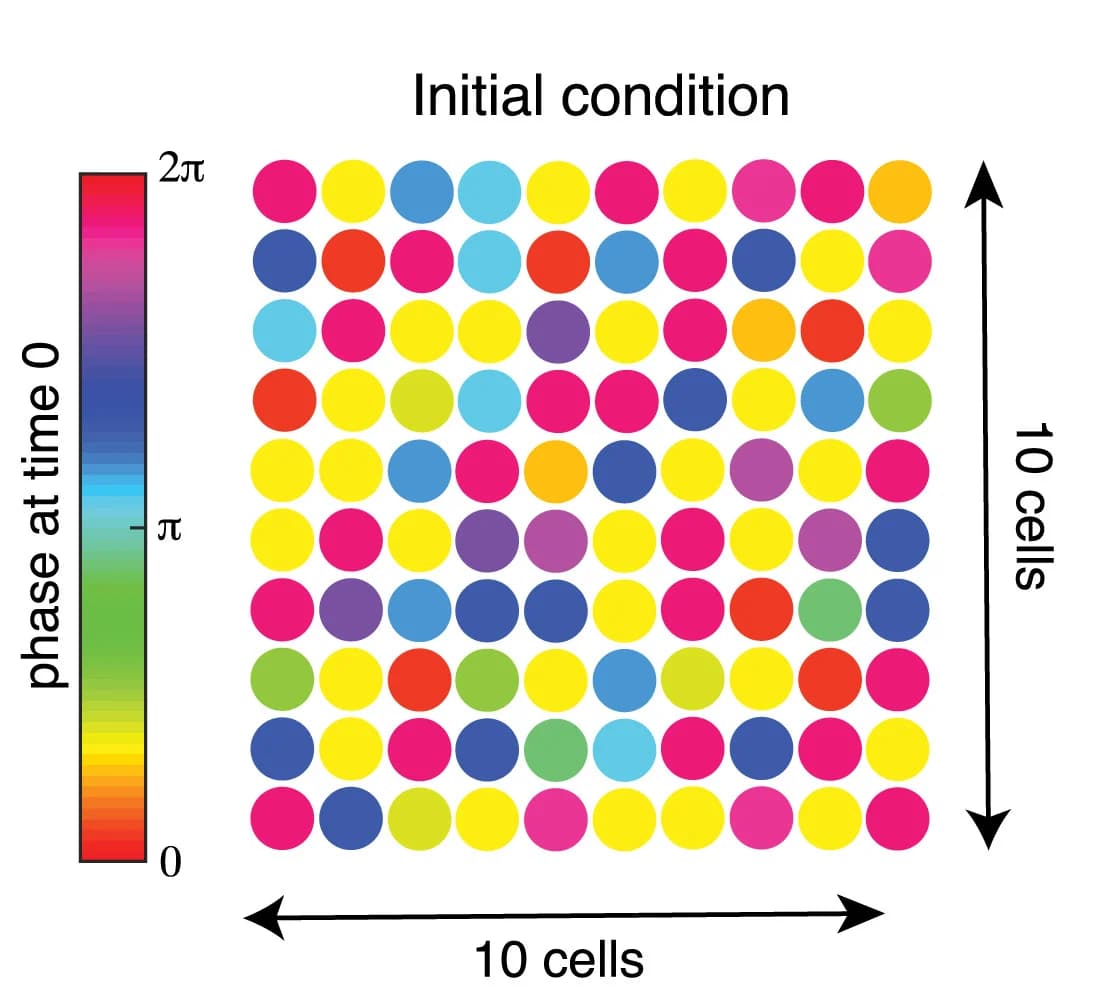 Open access visualization of Heatmap, Walkie Talkie Model, Oscillators, Initial Phase
