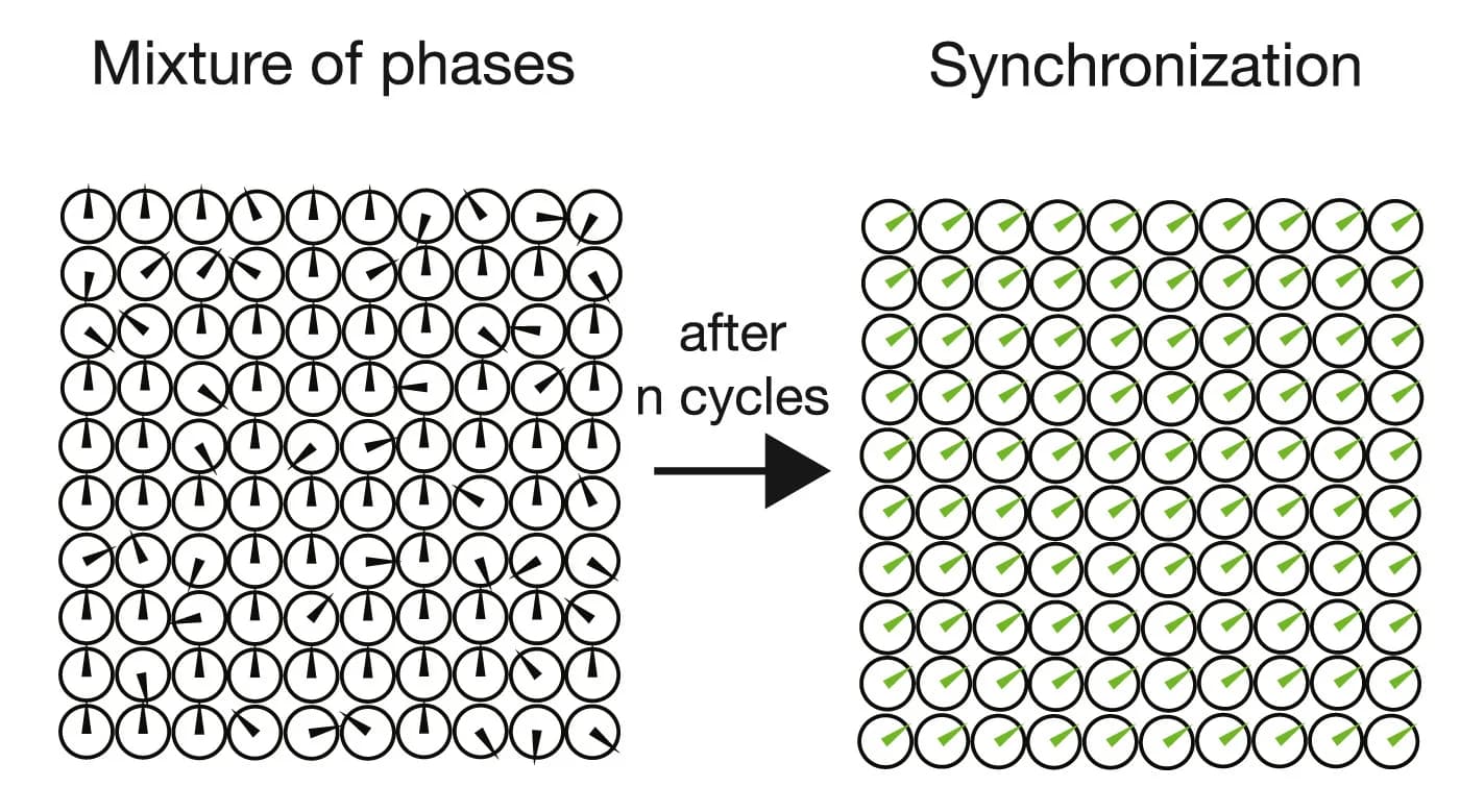 Open access visualization of Illustration, Workflow, Synchronization, Oscillators, Initial Phases