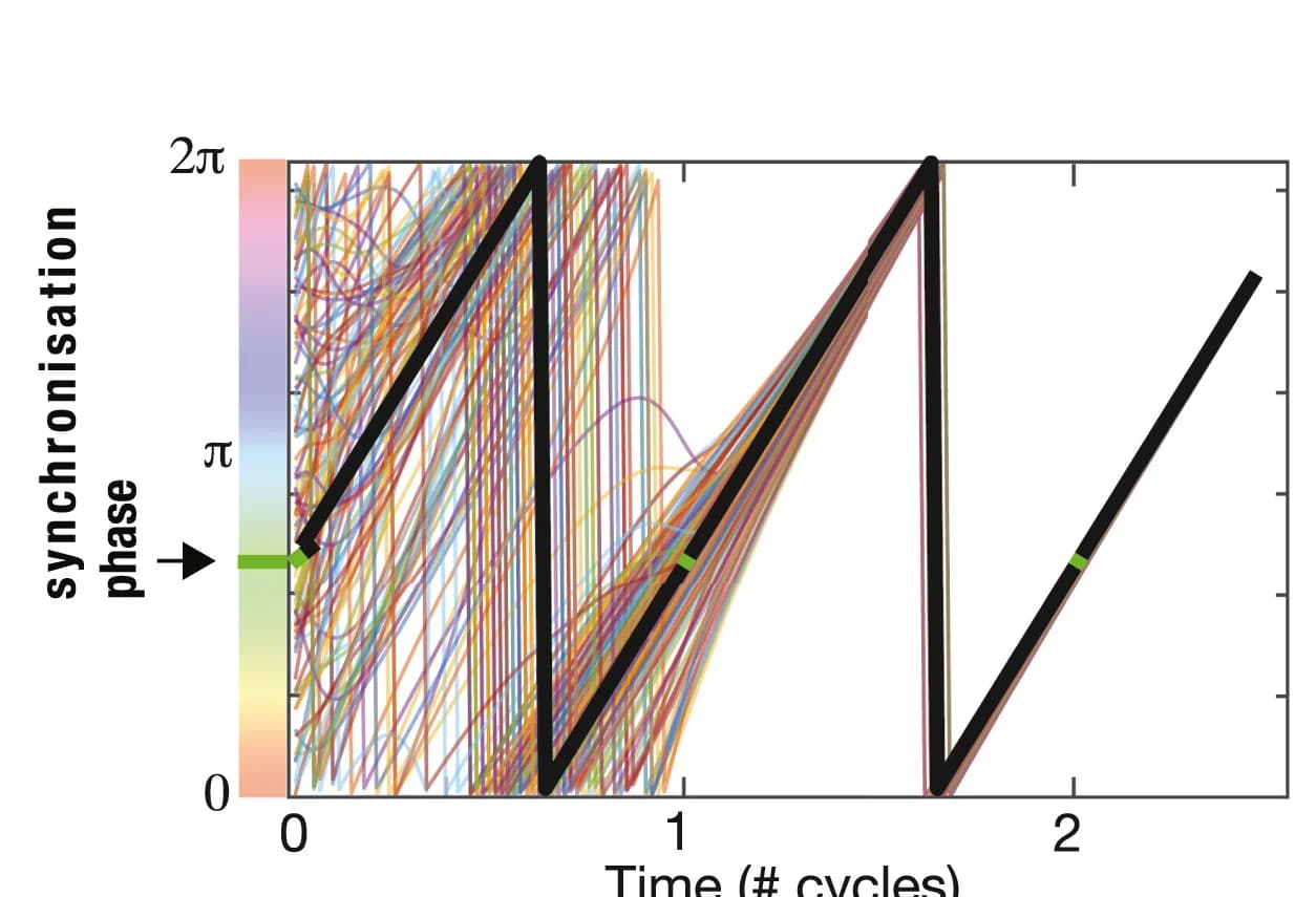 Open access visualization of Line Plot, Phase Trajectories, Oscillators, Kuramoto Model, Synchronization