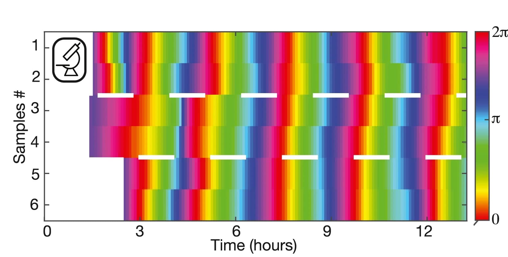 Open access visualization of Heatmap, Phase, PSM Cells, Synchronization, Spatial Isolation