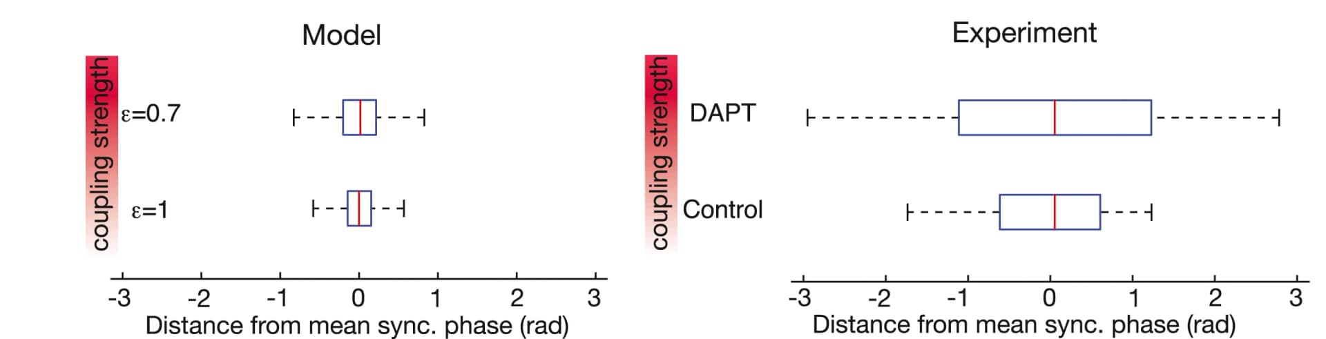 Open access visualization of Box Plot, Synchronization Phase, Simulation, Variable Coupling, Notch Inhibitor