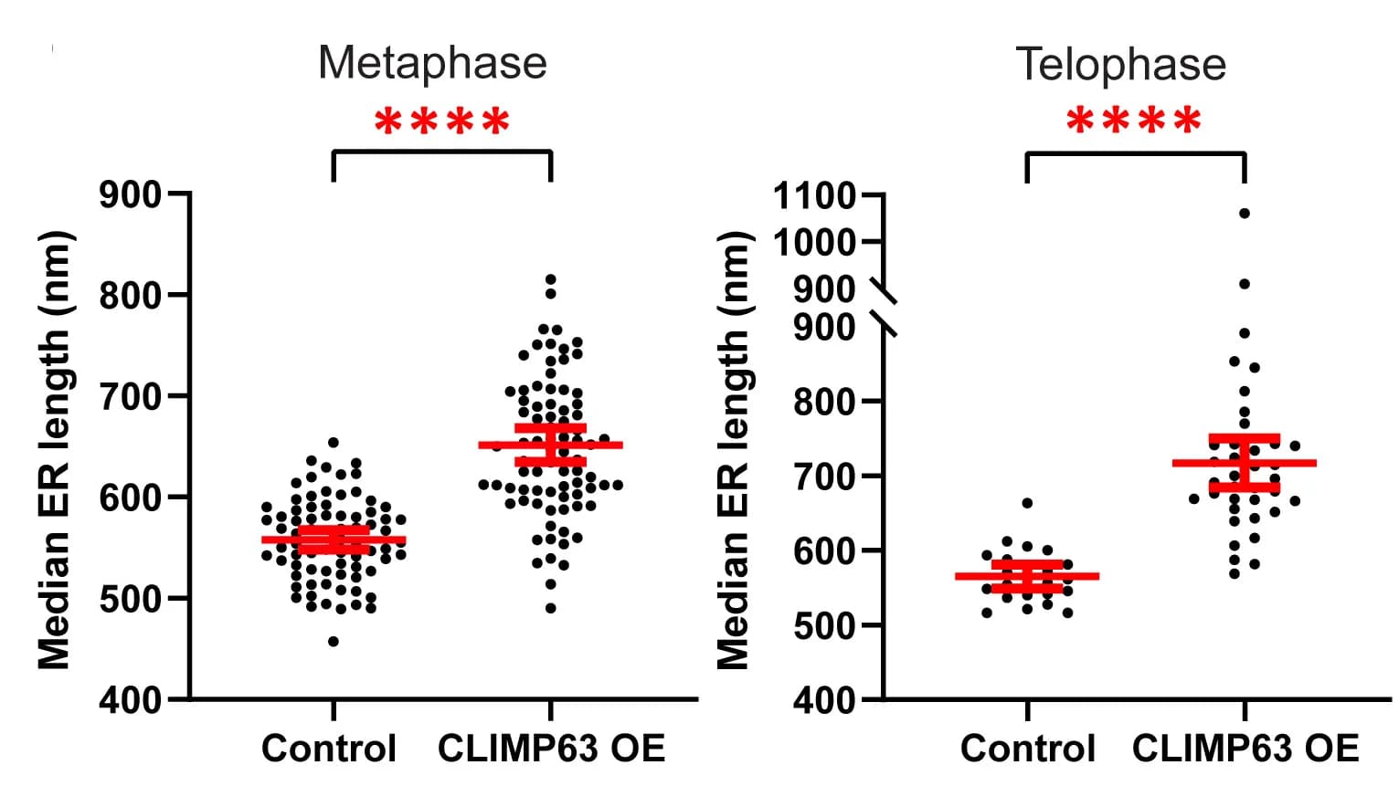 Open access visualization of Scatter Plot, Error Bars, ER length, Metaphase, Telophase