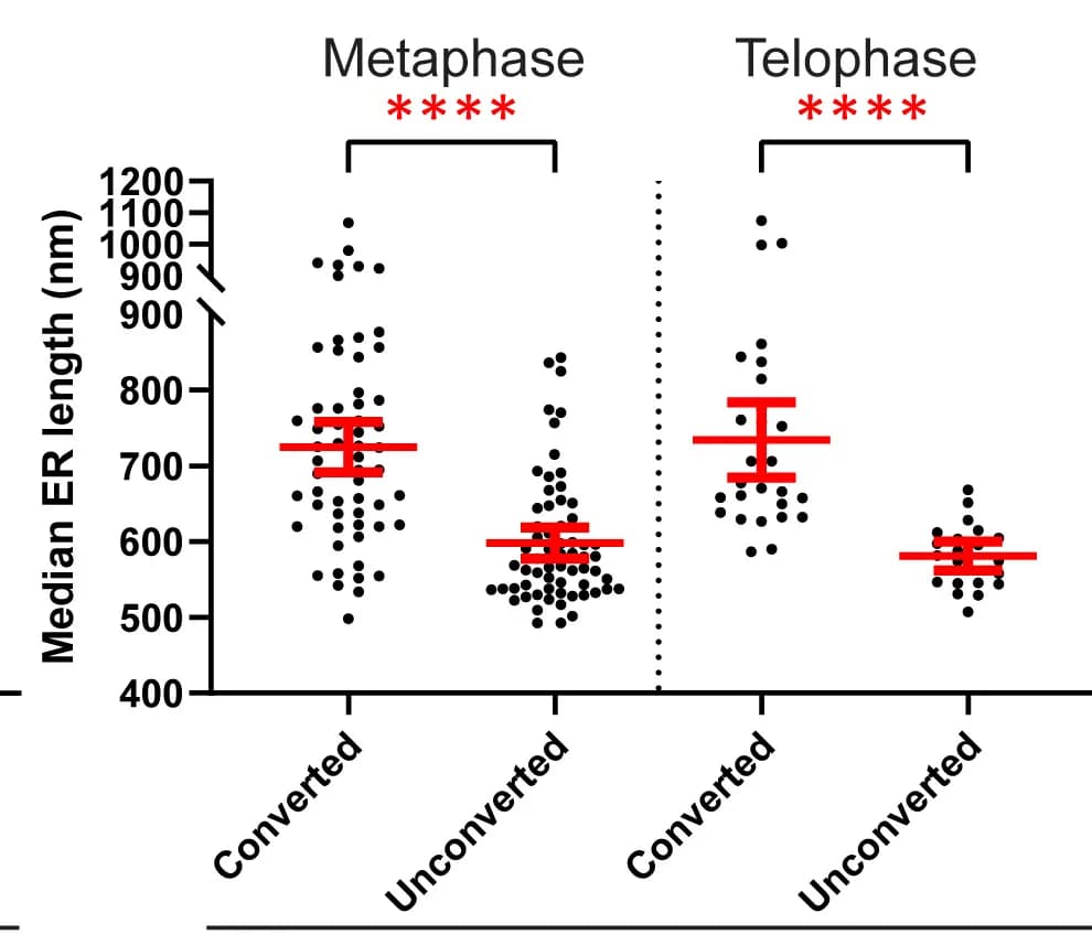 Open access visualization of Scatter Plot, Error Bars, Median ER Length, Metaphase, Telophase