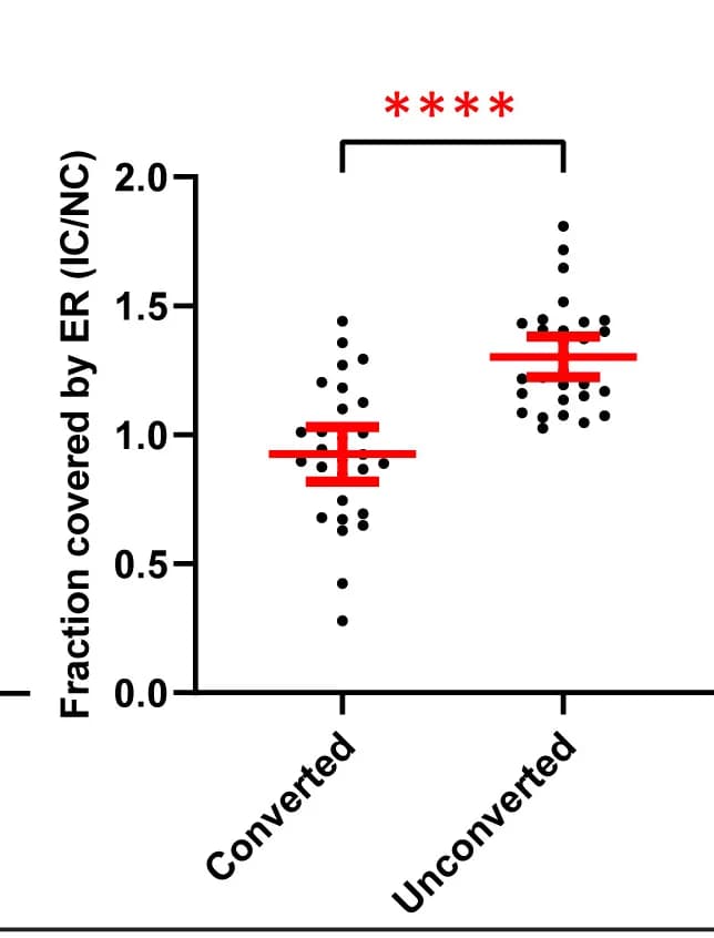 Open access visualization of Scatter Plot, Error Bars, ER Membrane Recruitment, IC, NC