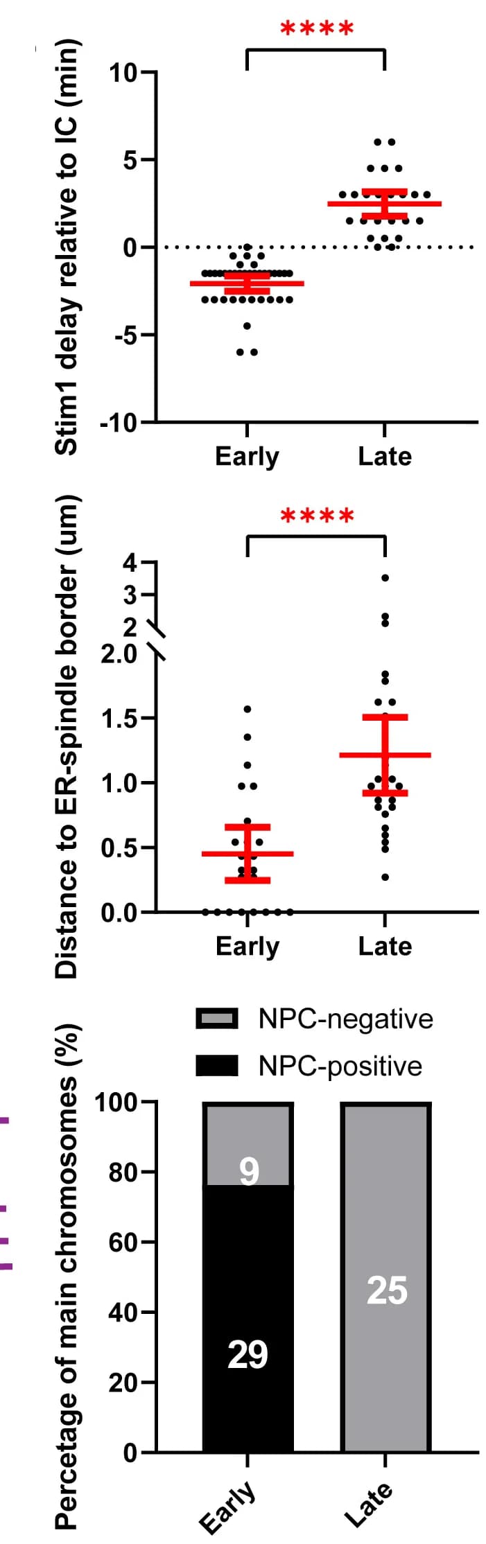 Open access visualization of Bar Plot, Scatter Plot, Error Bars, Stacked Bar Plot, Lagging Chromosomes