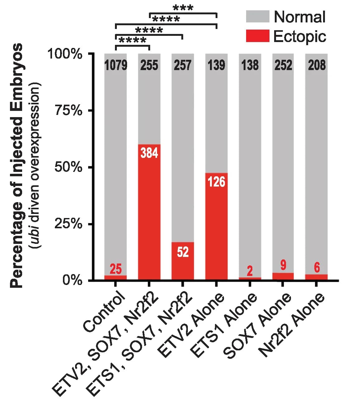 Open access visualization of Stacked Bar Plot, Graph, Quantification, Embryos, Ectopic staining