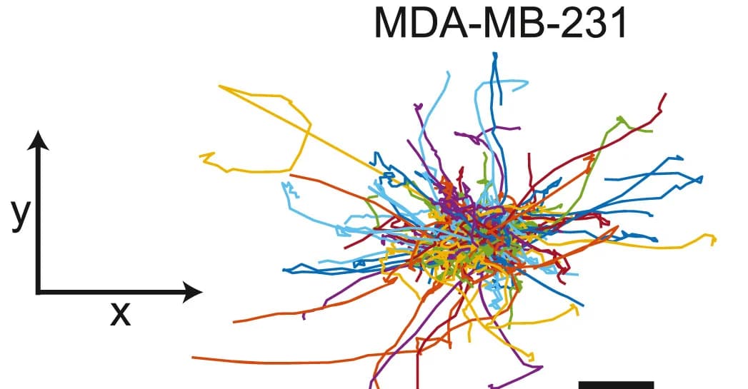 Open access visualization of Line Plot, Cell Tracking, Cell Migration, Collagen I, MDA-MB-231 Cells