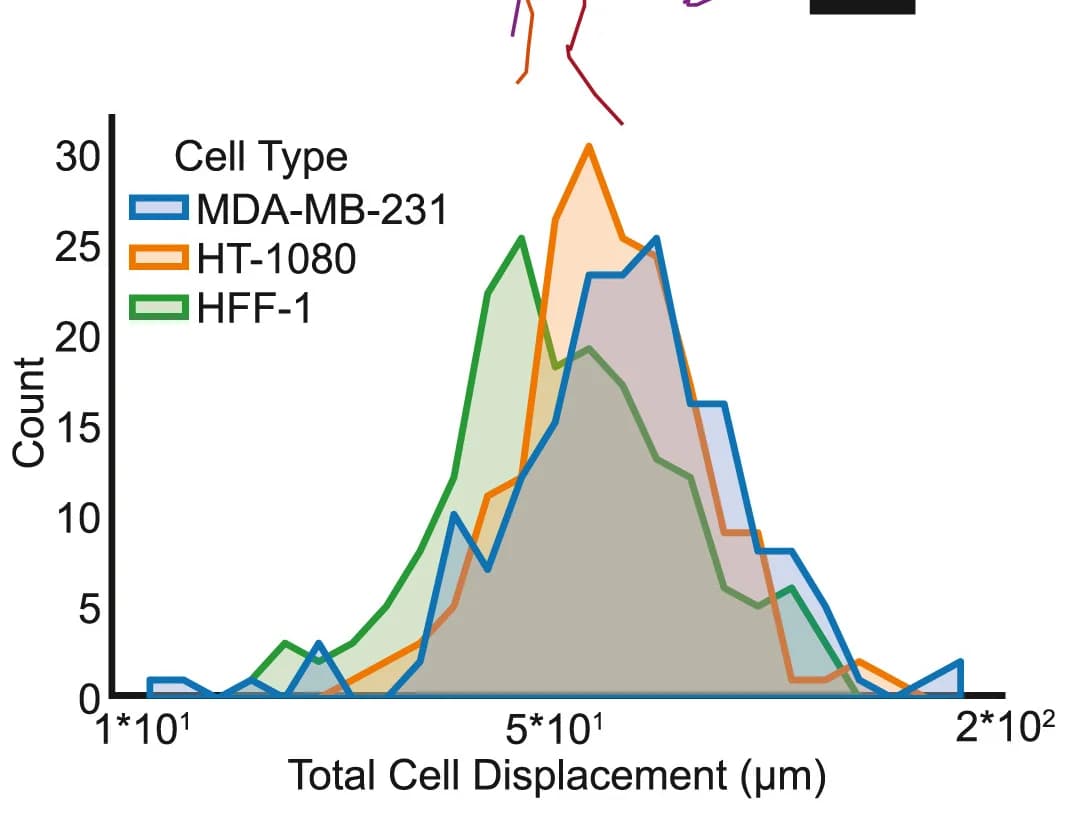 Open access visualization of Line Plot, Density Plot, Total Displacement