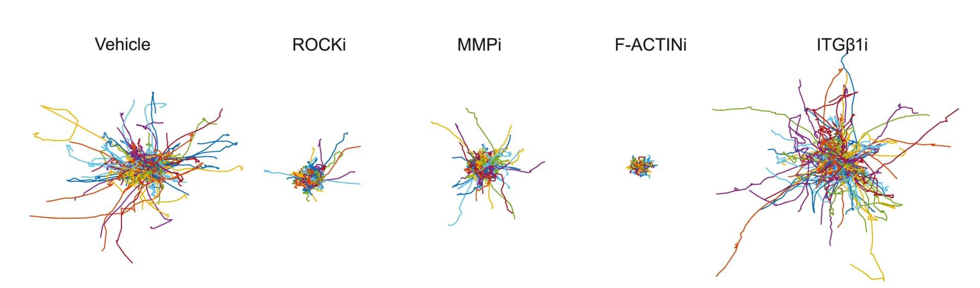 Open access visualization of Line Plot, MDA-MB-231 Cells, 3D Cultures, Vehicle, ROCK Inhibitor