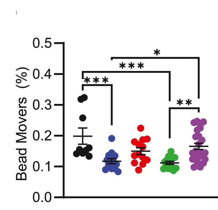 Open access visualization of Scatter Plot, Error Bars, Inhibitors, Cells, ECM