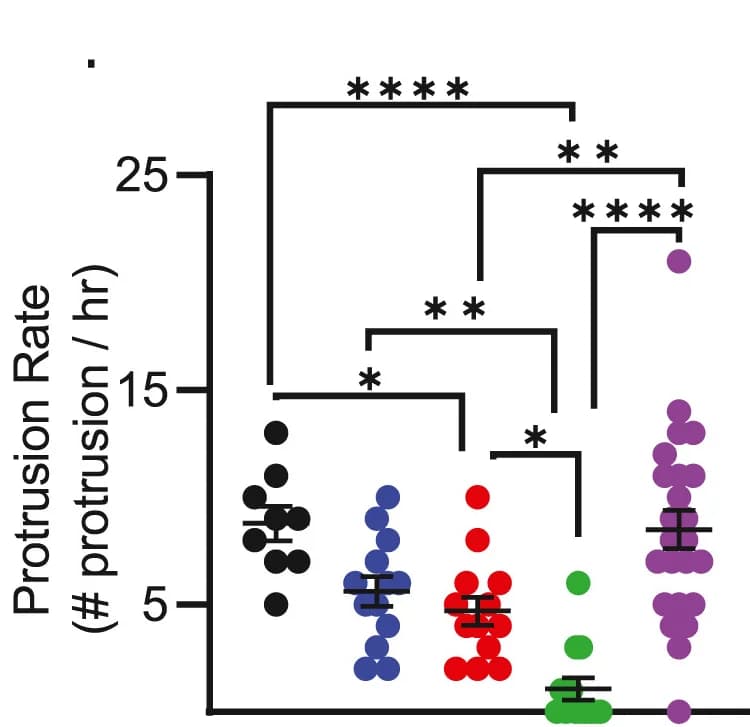 Open access visualization of Scatter Plot, Error Bars, Inhibitors, Cells, ECM