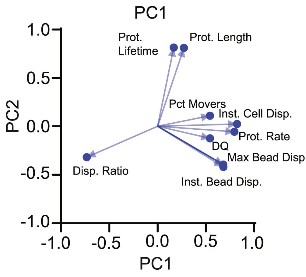 Open access visualization of Scatter Plot, PCA, Principal Component Analysis, Cells, ECM