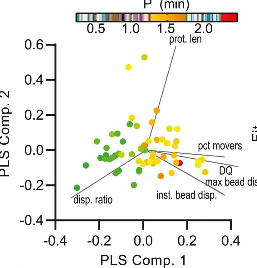 Open access visualization of Scatter Plot, Regression Plot, Partial Least Squares Regression, Cell-ECM Interactions, Persistence