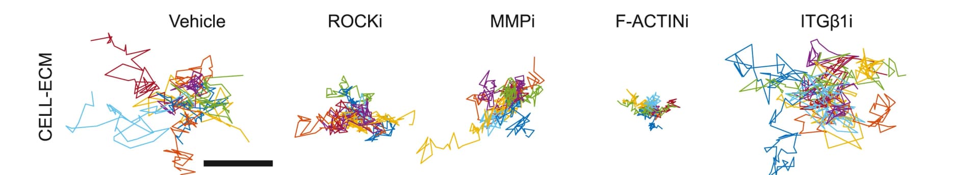 Open access visualization of Line Plot, Trajectories, Persistent Random Walk Model, Cell Speed, Persistence