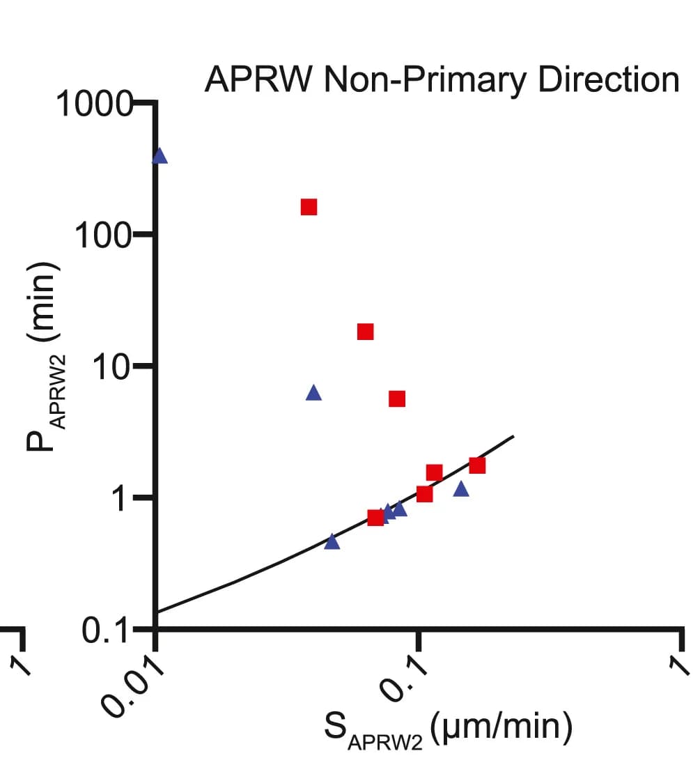 Open access visualization of Scatter Plot, Regression Plot, Cells, Anisotropic Persistent Random Walk Model, Speed