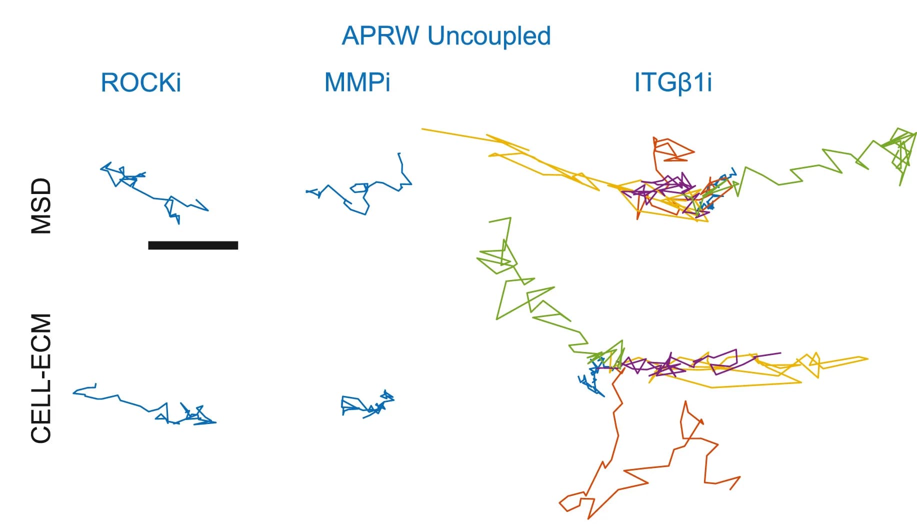Open access visualization of Line Plot, PLSR Modeling, Cells, Migration