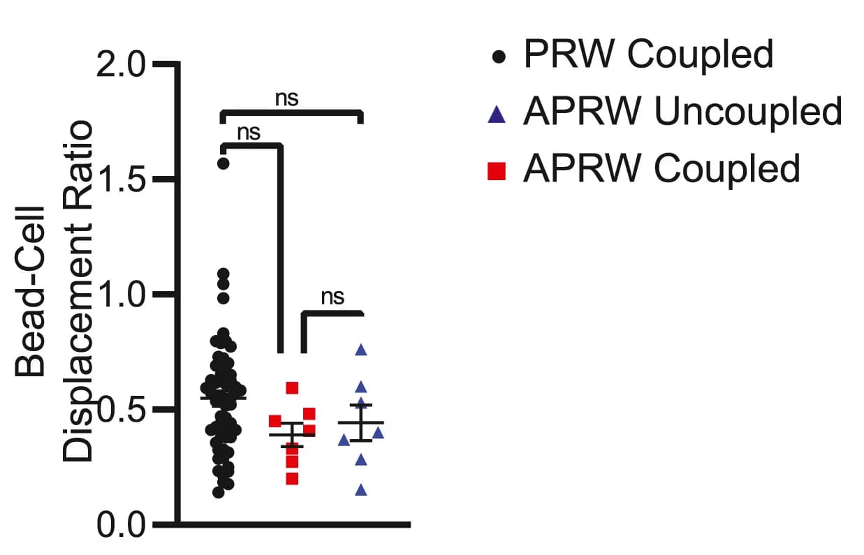 Open access visualization of Scatter Plot, Error Bars, Heatmap, Pearson Correlation, Cell-ECM