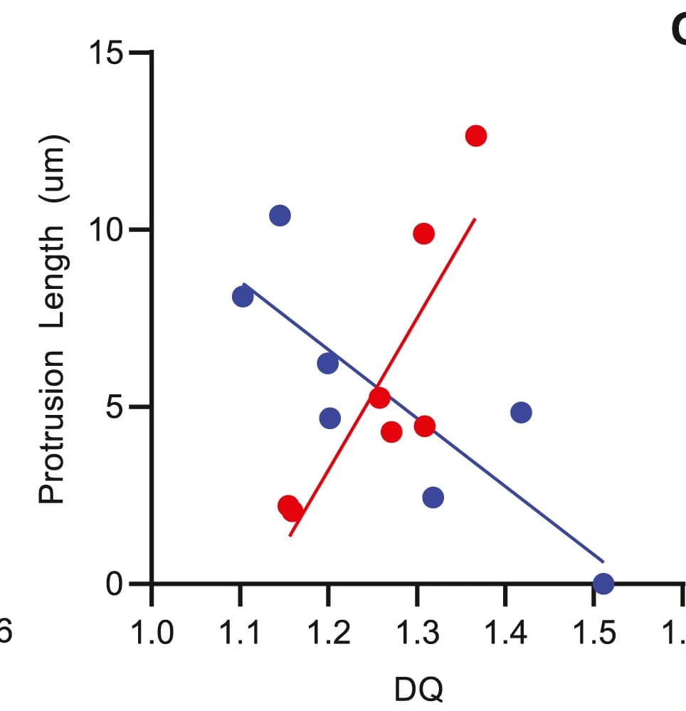 Open access visualization of Scatter Plot, Regression Plot, DQ, Protrusion Length, APRW Coupled