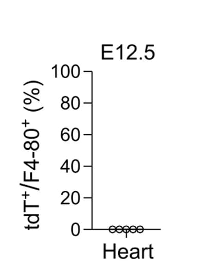 Open access visualization of Scatter Plot, Macrophages, tdT, Quantification