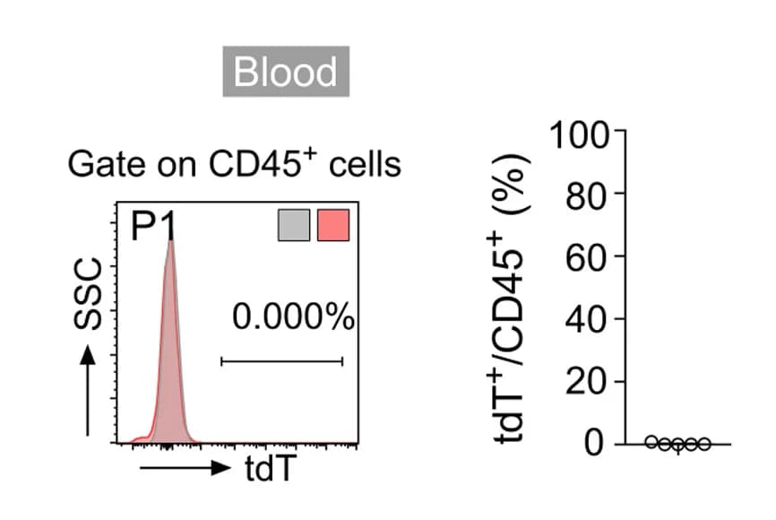 Open access visualization of Line Plot, Density Plot, Flow Cytometry, Immune Cells, tdT