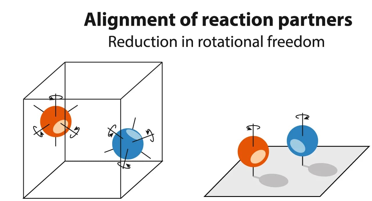 Open access visualization of Illustration, Spatial Confinement, Rotational Confinement, Reaction Partners, Interactions