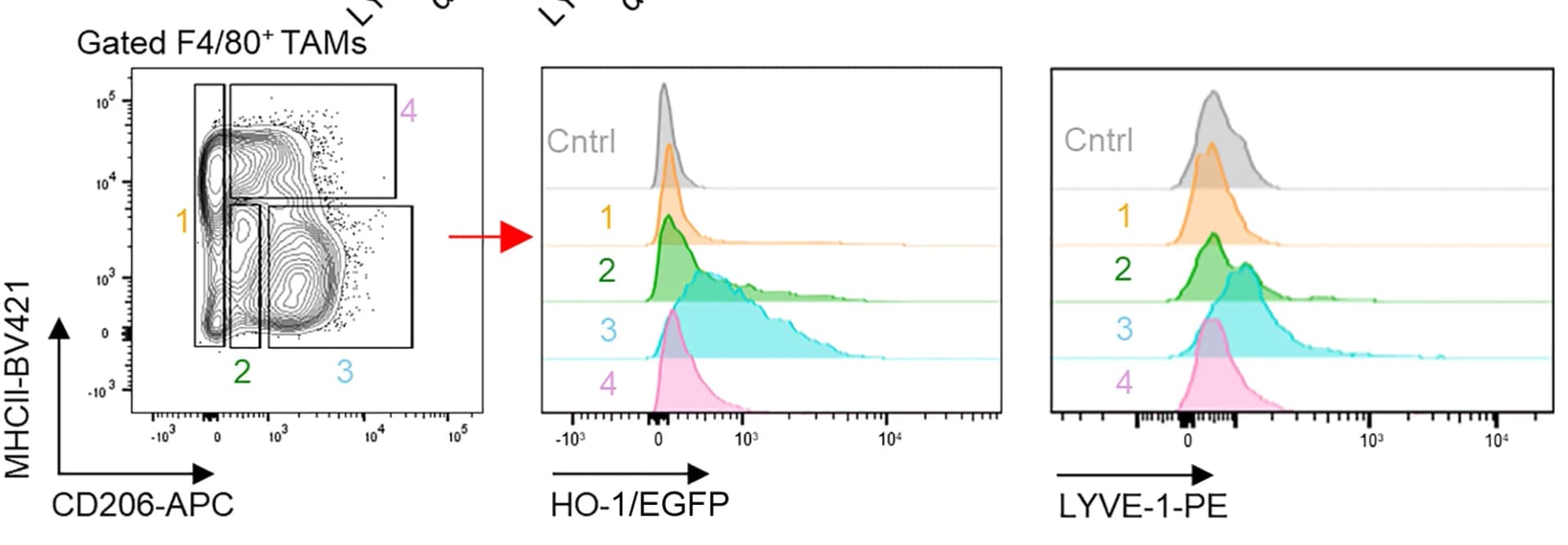 Open access visualization of Scatter Plot, Line Plot, Density Plot, Contour Plot, FACS