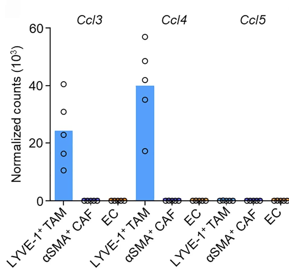 Open access visualization of Bar Plot, Scatter Plot, Gene Expression, Mice