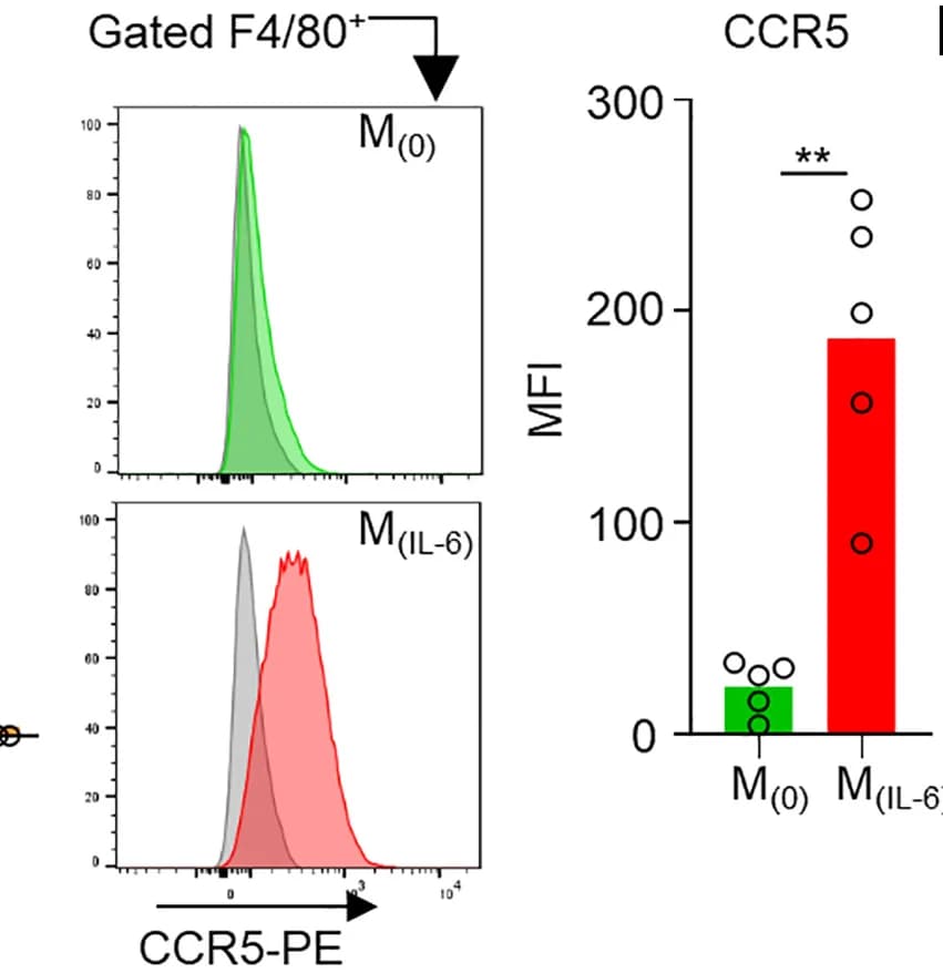 Open access visualization of Bar Plot, Scatter Plot, Histogram, Histograms, CCR5 Expression