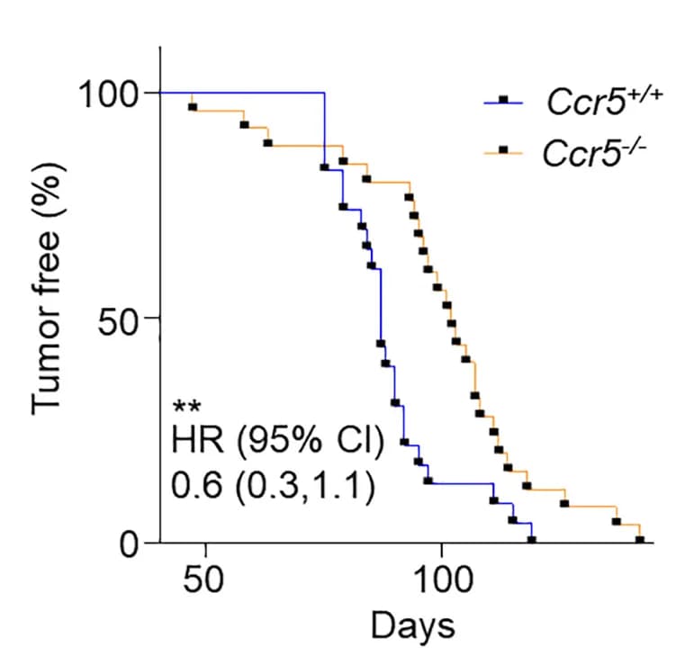 Open access visualization of Line Plot, Line Step, Survival Curve, Kaplan-Meier Curve, Tumor Latency