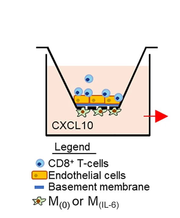 Open access visualization of Illustration, Assay, Schematic