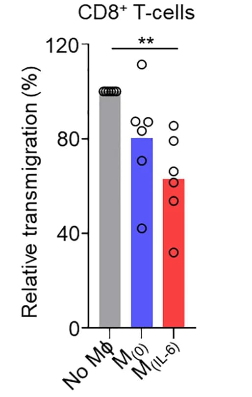 Open access visualization of Bar Plot, Scatter Plot, Transendothelial migration, CD8+ T cells, M(0) cells