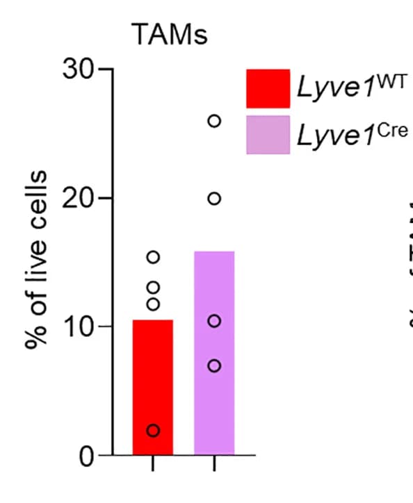 Open access visualization of Bar Plot, Scatter Plot, Tumors, Lyve1WT mice, Lyve1Cre mice
