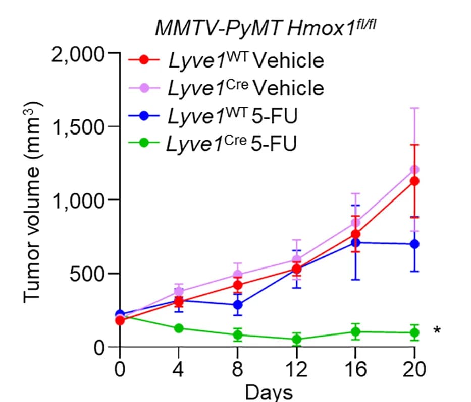 Open access visualization of Line Plot, Error Bars, Growth curves, Spontaneous tumors, Vehicle