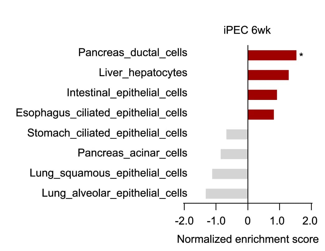 Open access visualization of Bar Plot, Normalized Enrichment Score, GSEA, Gene Signatures, Endodermal Cells