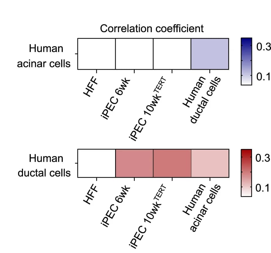 Open access visualization of Heatmap, Pearson Correlation Coefficients, Gene Expression, HFFs, iPECs