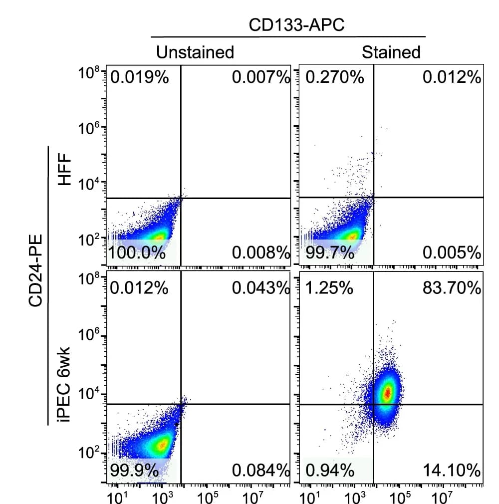 Open access visualization of Scatter Plot, Flow Cytometry, CD133, CD24, Ductal-like Cells