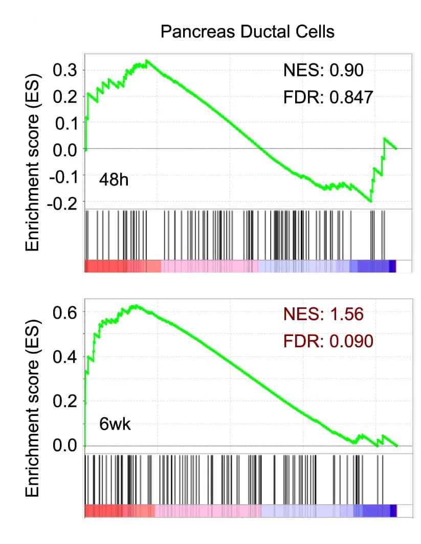 Open access visualization of Line Plot, GSEA, Fetal Pancreatic Ductal Cell, Reprogrammed Cells, Normalized Enrichment Score