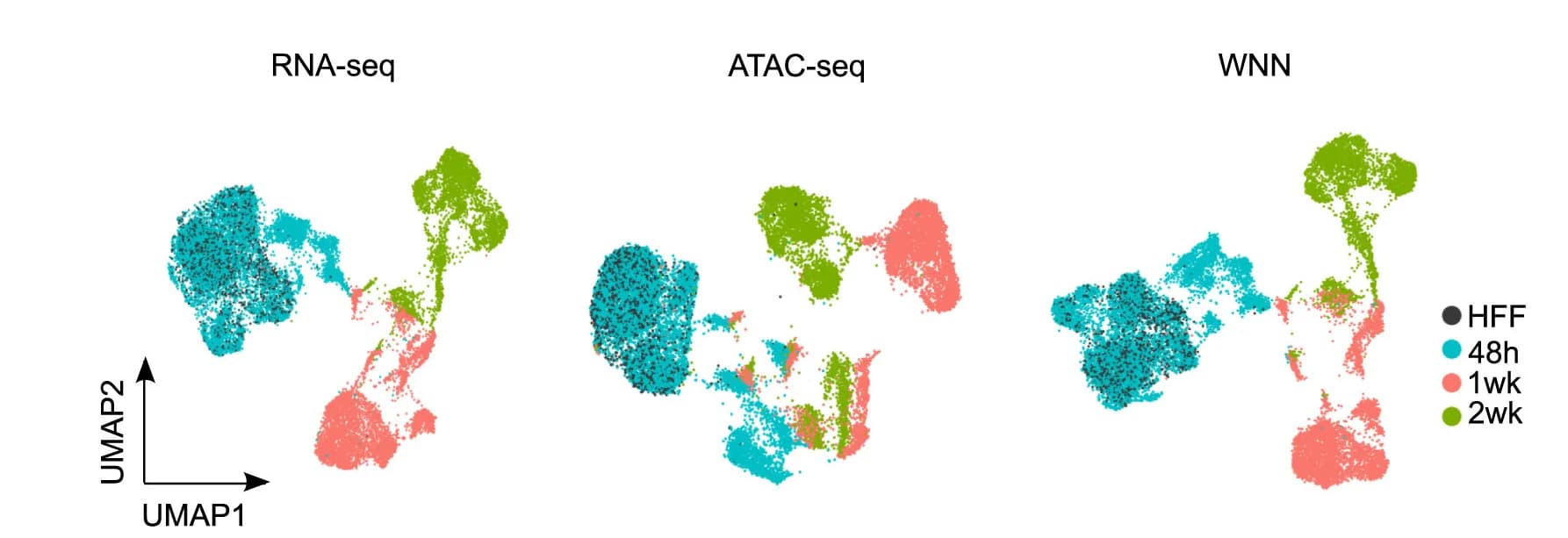 Open access visualization of Scatter Plot, UMAP, UMAP Plots, Gene Expression, Chromatin Accessibility