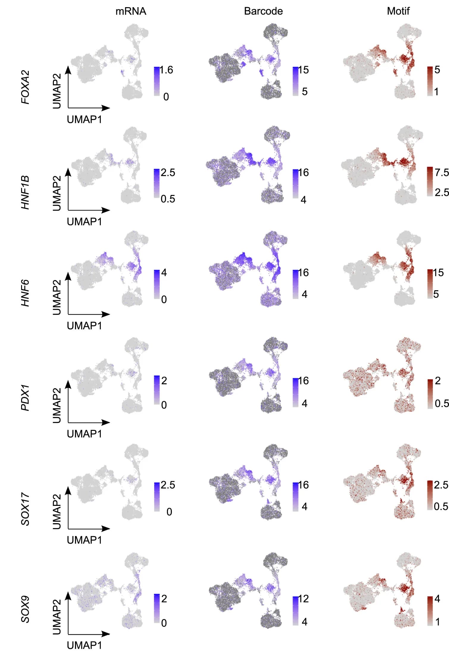 Open access visualization of UMAP, Scatter Plot, Transcript Levels, Endogenous Transcription Factors, Exogenous Transcription Factors