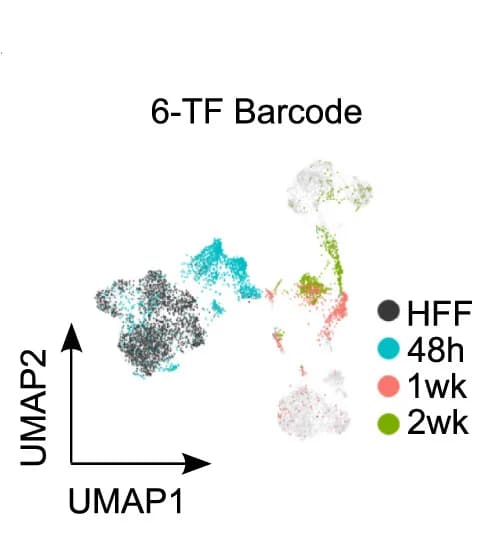 Open access visualization of Scatter Plot, UMAP, Control Cells, Reprogrammed Cells, Barcodes