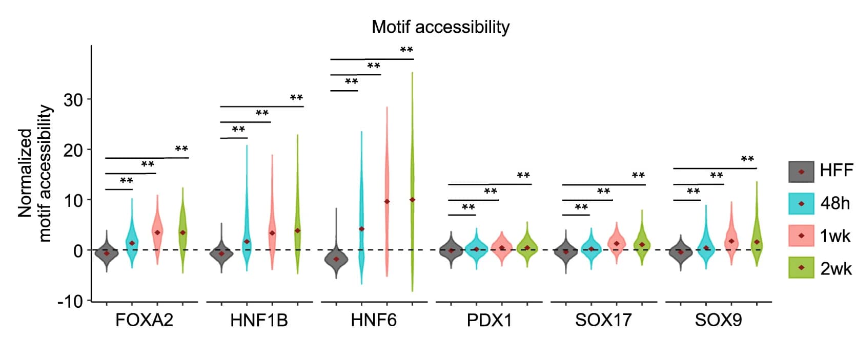 Open access visualization of Violin Plot, Motif Accessibility Scores, Zscores, TFs, Cells
