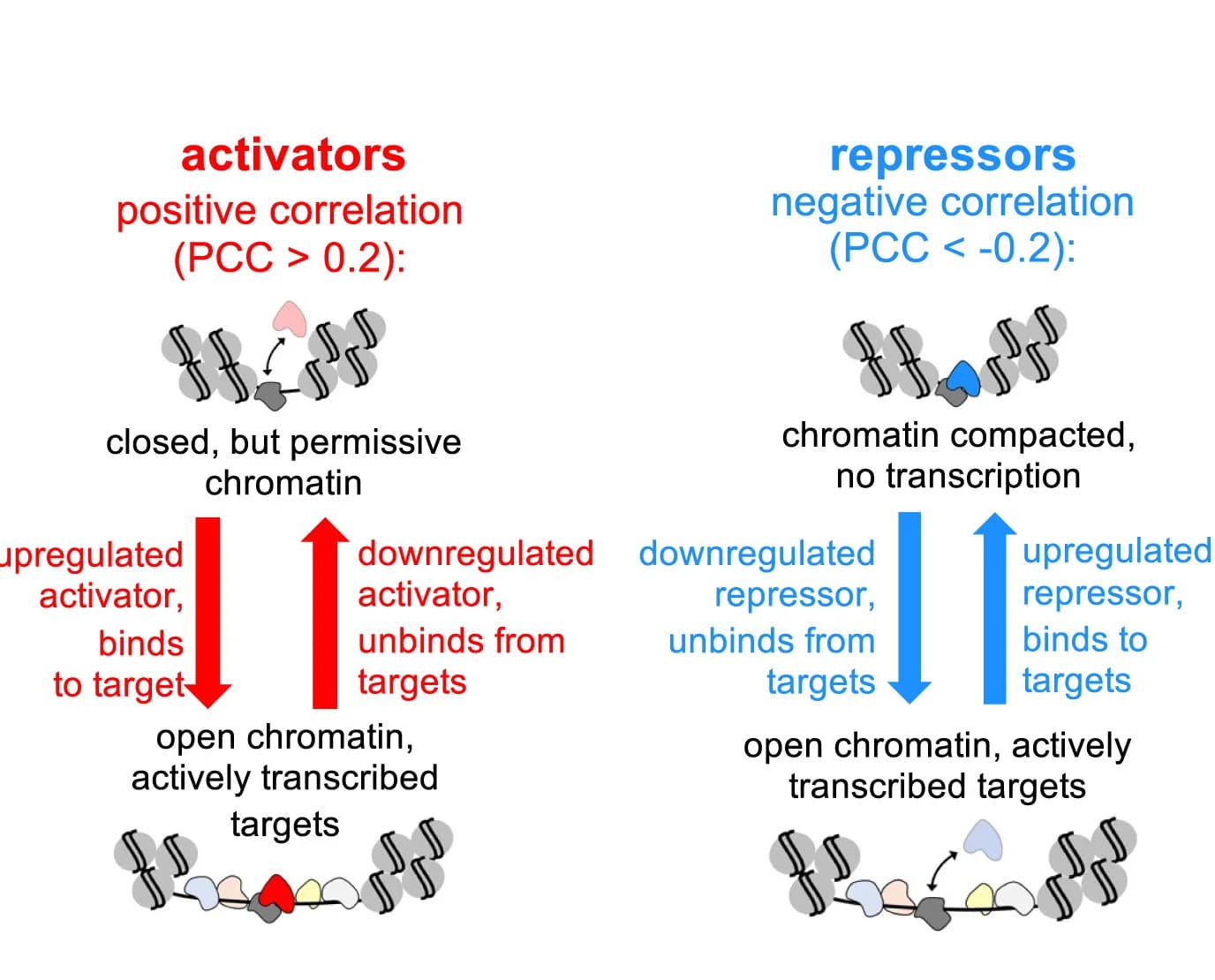 Open access visualization of Workflow, Illustration, Transcription Factors, Gene Expression, Motif Accessibility
