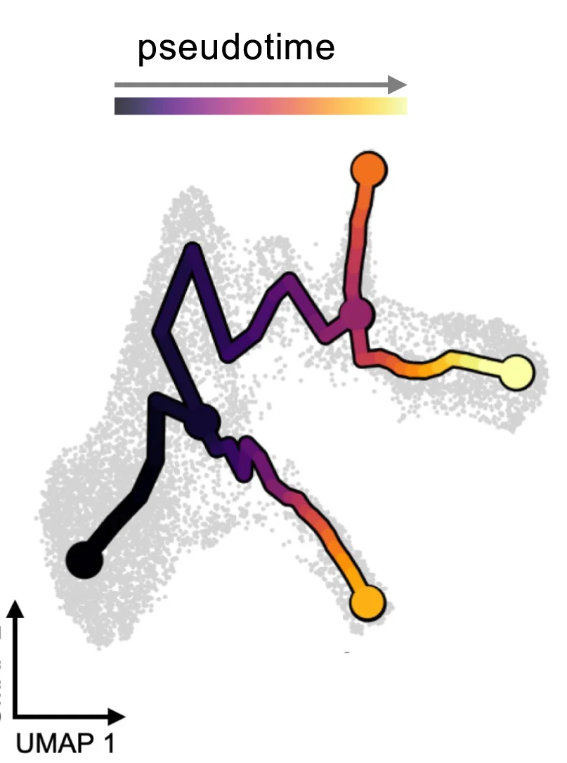 Open access visualization of UMAP, Scatter Plot, Line Plot, UMAP Plot, scRNA-seq