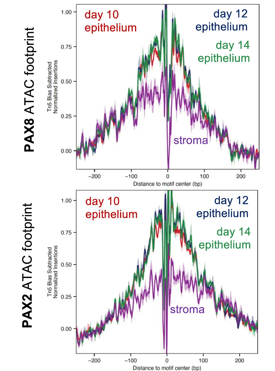 Open access visualization of Line Plot, Error Bars, Density Plot, Footprint Analysis, PAX8