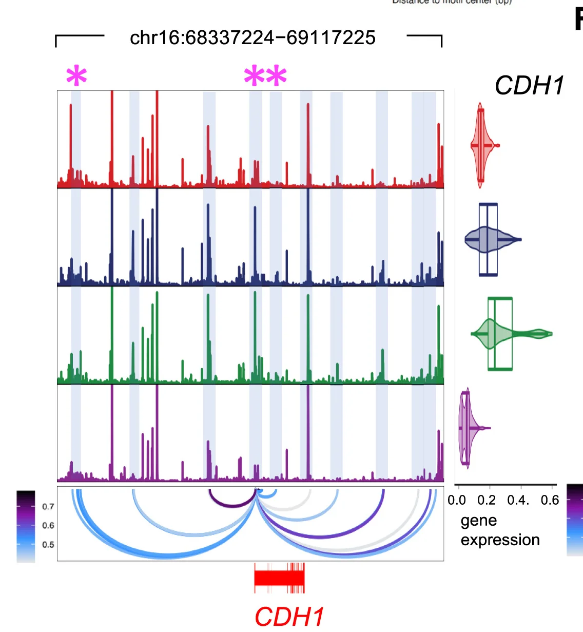 Open access visualization of Line Plot, Violin Plot, Sankey, Chromatin Accessibility, E-cadherin