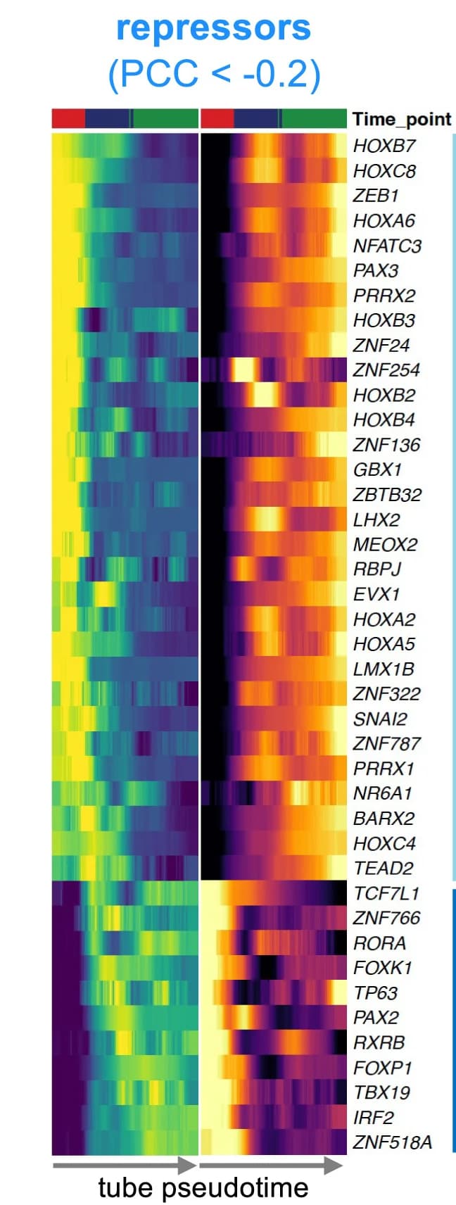 Open access visualization of Heatmap, Gene Expression, Motif Accessibility, Epithelial Pseudotime, Transcriptional Repressors