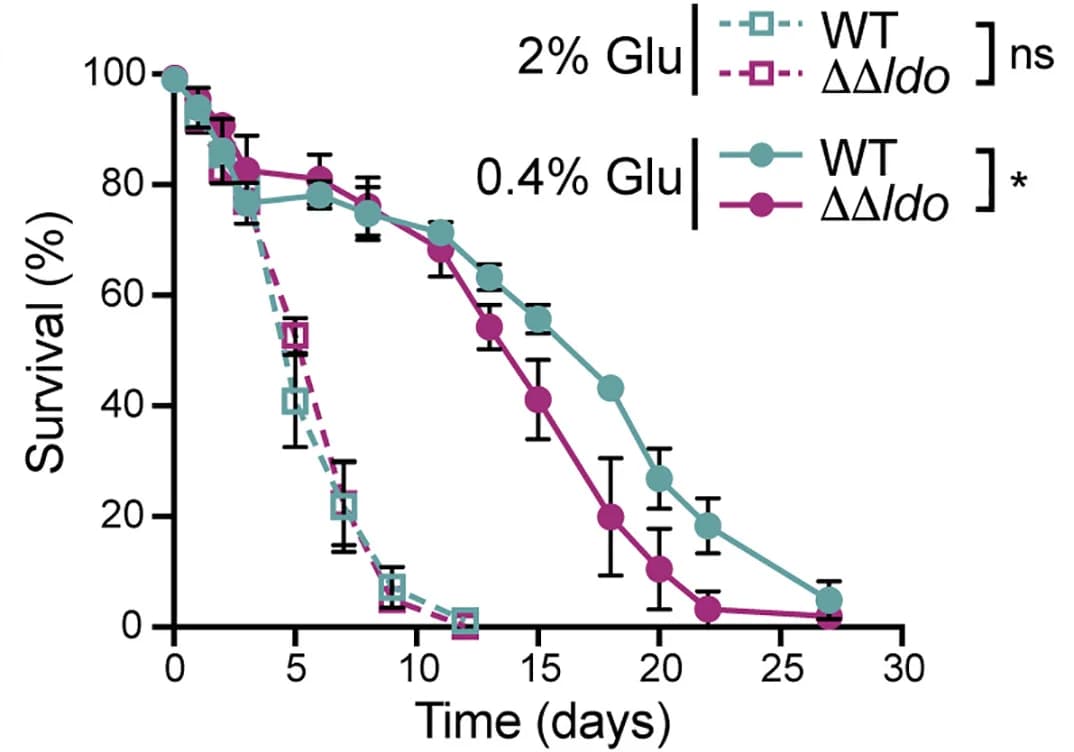 Open access visualization of Line Plot, Error Bars, Survival Curve, Survival, Chronological Aging