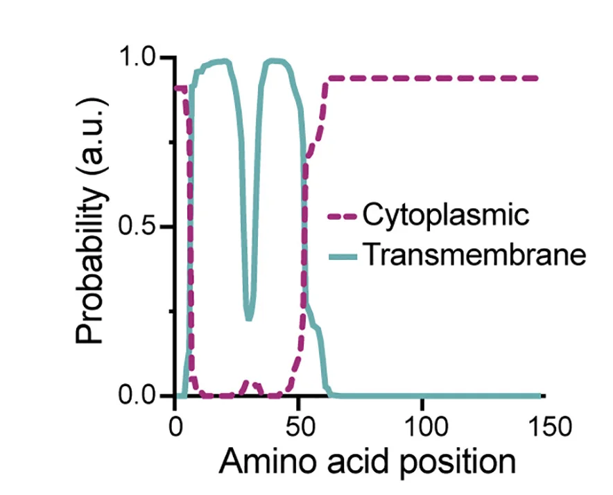 Open access visualization of Line Plot, Hydrophobicity Plot, Protein Sequence, Ldo16